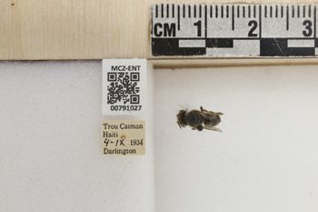 Media type: image;   Entomology 791027 Aspect: Labels